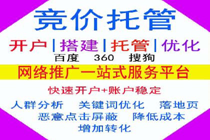 成功SEM推广代运营案例展示